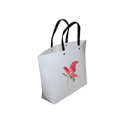 Shopping Bag